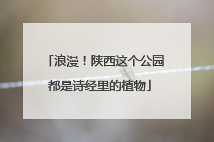 浪漫！陕西这个公园都是诗经里的植物