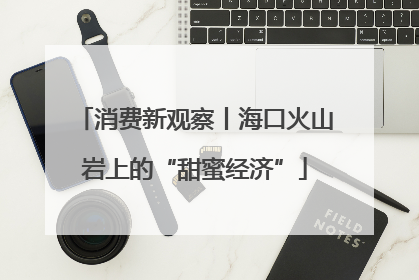 消费新观察丨海口火山岩上的“甜蜜经济”