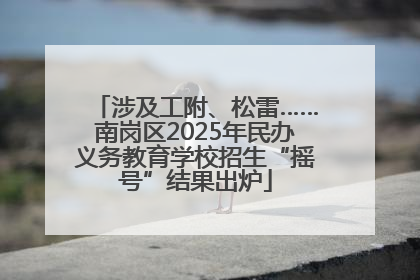 涉及工附、松雷……南岗区2025年民办义务教育学校招生“摇号”结果出炉