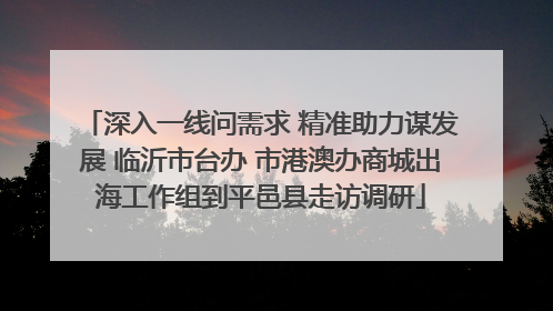 深入一线问需求 精准助力谋发展 临沂市台办 市港澳办商城出海工作组到平邑县走访调研