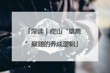 深读｜虞山“雄鹰”展翅的养成逻辑