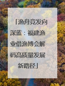 渔舟竞发向深蓝：福建渔业借渔博会解码高质量发展新路径