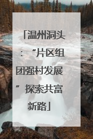 温州洞头：“片区组团强村发展”探索共富新路