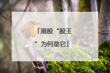 港股“股王”为何是它