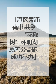 湾区泉涌·南北共擎——“花楸树”杯明湖慈善公益跑成功举办