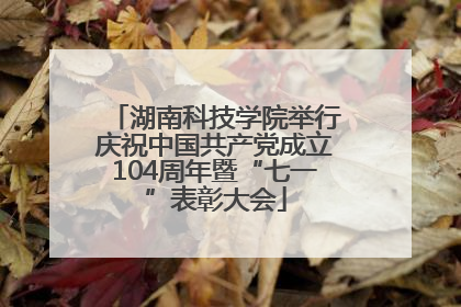 湖南科技学院举行庆祝中国共产党成立104周年暨“七一”表彰大会