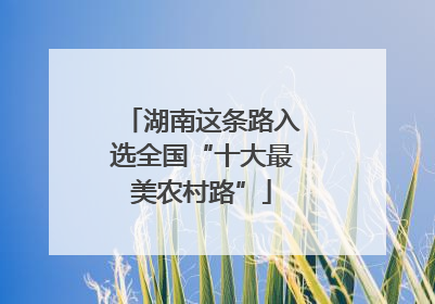 湖南这条路入选全国“十大最美农村路”