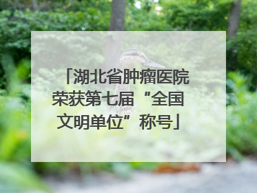 湖北省肿瘤医院荣获第七届“全国文明单位”称号