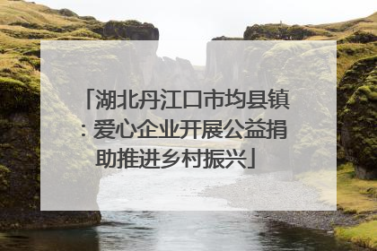湖北丹江口市均县镇：爱心企业开展公益捐助推进乡村振兴