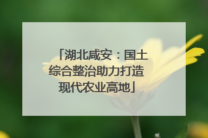 湖北咸安：国土综合整治助力打造现代农业高地