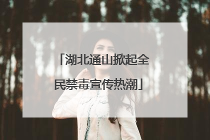 湖北通山掀起全民禁毒宣传热潮
