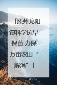 滕州龙阳镇科学抗旱保苗 力保万亩农田“解渴”