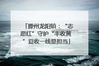 滕州龙阳镇：“志愿红”守护“丰收黄”夏收一线显担当