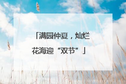 满园仲夏，灿烂花海迎“双节”