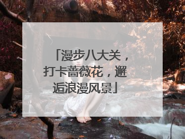 漫步八大关，打卡蔷薇花，邂逅浪漫风景
