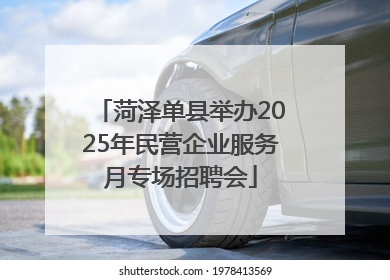菏泽单县举办2025年民营企业服务月专场招聘会
