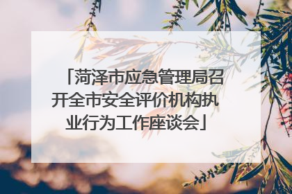 菏泽市应急管理局召开全市安全评价机构执业行为工作座谈会