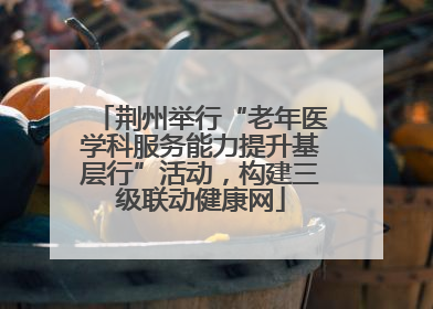 荆州举行“老年医学科服务能力提升基层行”活动，构建三级联动健康网