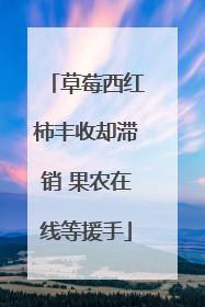草莓西红柿丰收却滞销 果农在线等援手