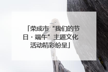 荣成市“我们的节日・端午”主题文化活动精彩纷呈