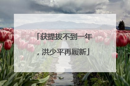 获提拔不到一年，洪少平再履新