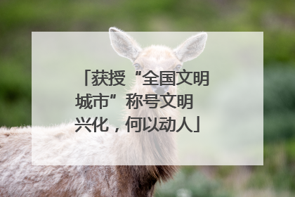 获授“全国文明城市”称号文明 兴化，何以动人