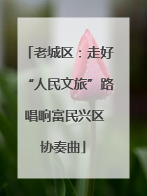 老城区：走好“人民文旅”路 唱响富民兴区协奏曲