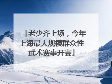 老少齐上场，今年上海最大规模群众性武术赛事开赛