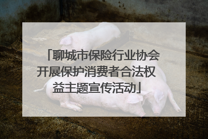 聊城市保险行业协会开展保护消费者合法权益主题宣传活动
