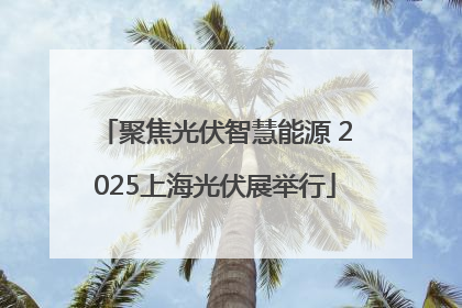 聚焦光伏智慧能源 2025上海光伏展举行
