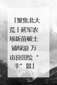 聚焦北大荒丨延军农场新苗破土铺绿浪 万亩良田绘“丰”景
