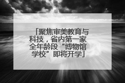 聚焦审美教育与科技，省内第一家全年龄段“博物馆学校”即将开学
