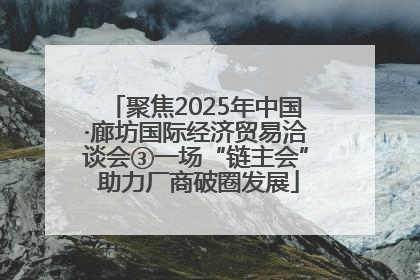 聚焦2025年中国·廊坊国际经济贸易洽谈会③一场“链主会” 助力厂商破圈发展