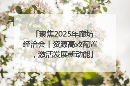 聚焦2025年廊坊经洽会丨资源高效配置，激活发展新动能