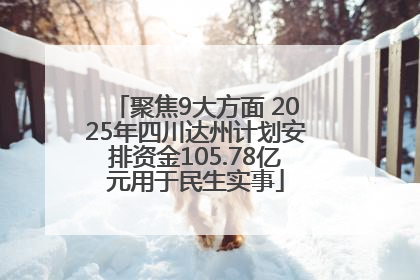 聚焦9大方面 2025年四川达州计划安排资金105.78亿元用于民生实事