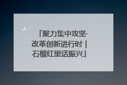 聚力集中攻坚·改革创新进行时｜石榴红里话振兴