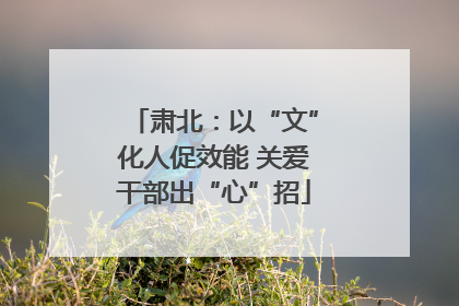 肃北：以“文”化人促效能 关爱干部出“心”招
