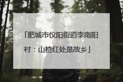 肥城市仪阳街道李南阳村：山楂红处是故乡