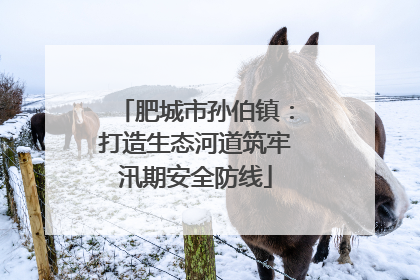 肥城市孙伯镇：打造生态河道筑牢汛期安全防线