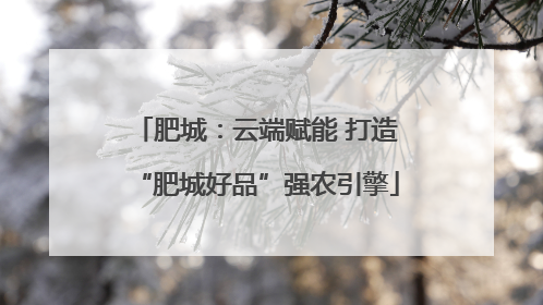 肥城：云端赋能 打造“肥城好品”强农引擎