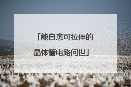 能自愈可拉伸的晶体管电路问世