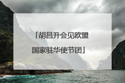 胡昌升会见欧盟国家驻华使节团