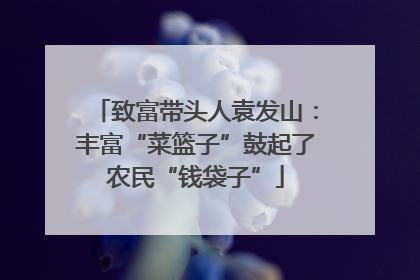 致富带头人袁发山：丰富“菜篮子”鼓起了农民“钱袋子”