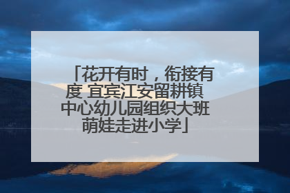 花开有时，衔接有度 宜宾江安留耕镇中心幼儿园组织大班萌娃走进小学