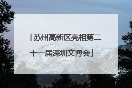 苏州高新区亮相第二十一届深圳文博会