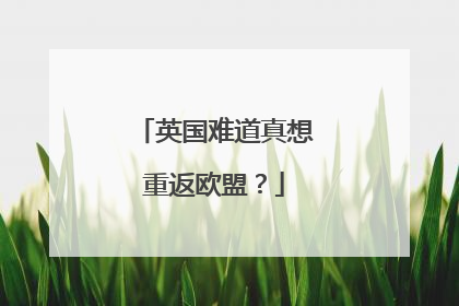 英国难道真想重返欧盟？
