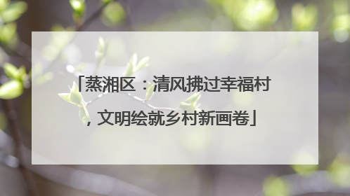 蒸湘区：清风拂过幸福村，文明绘就乡村新画卷
