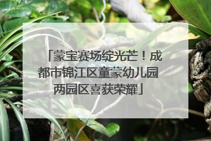 蒙宝赛场绽光芒！成都市锦江区童蒙幼儿园两园区喜获荣耀