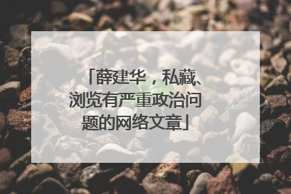 薛建华，私藏、浏览有严重政治问题的网络文章