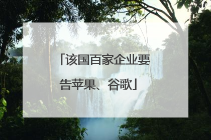 该国百家企业要告苹果、谷歌